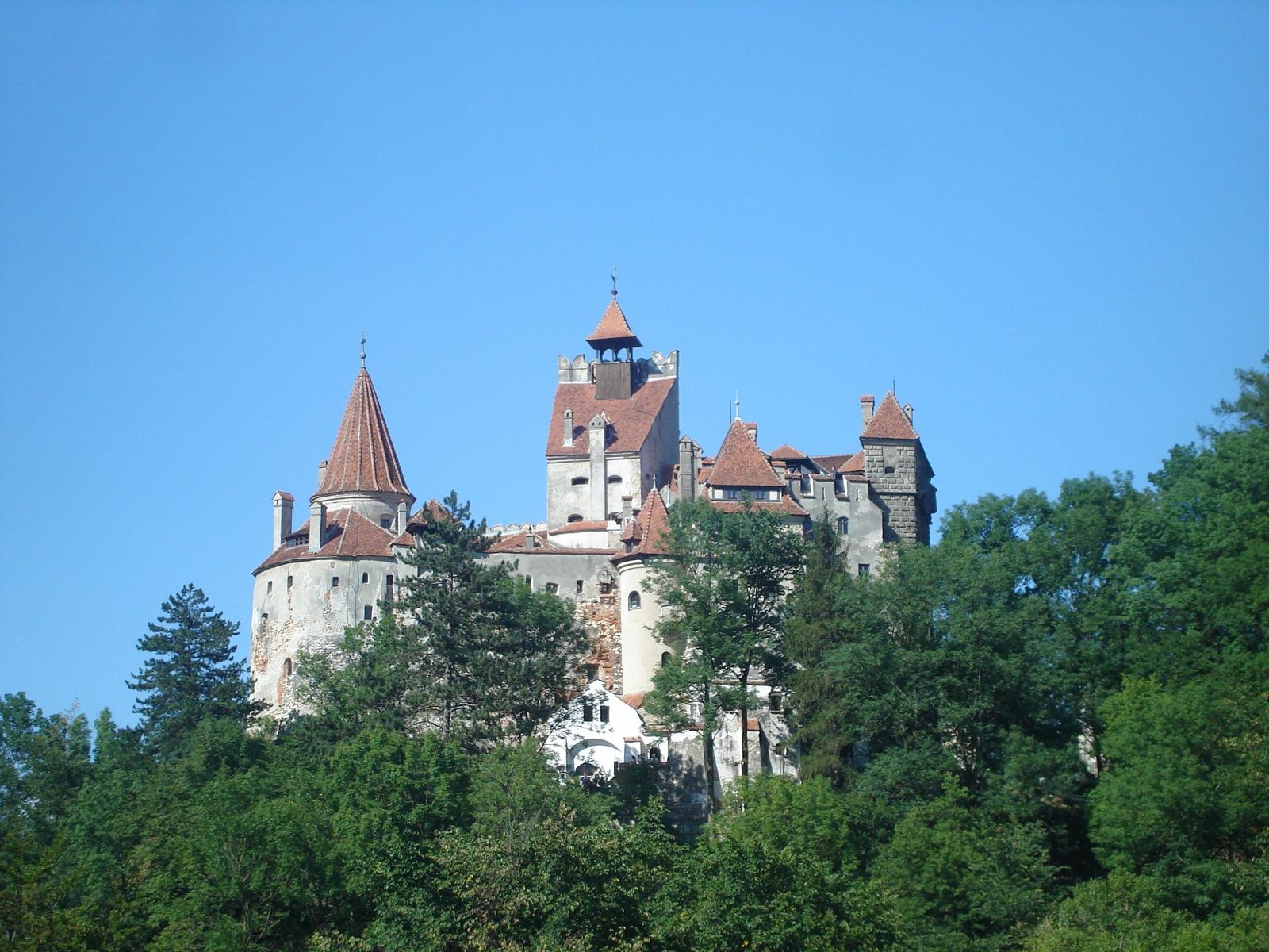 Bran Castle in Transylvania, Romania, above green forest